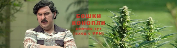 гашишное масло Шали