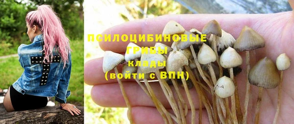 spice Гусев