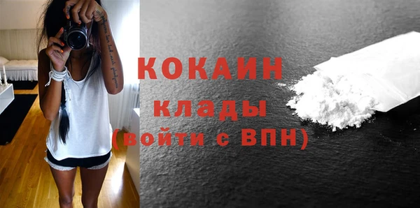spice Гусев