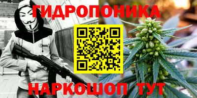 ешки Камышлов