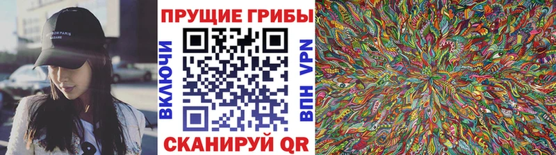 Псилоцибиновые грибы MAGIC MUSHROOMS  где найти   Нефтекамск 