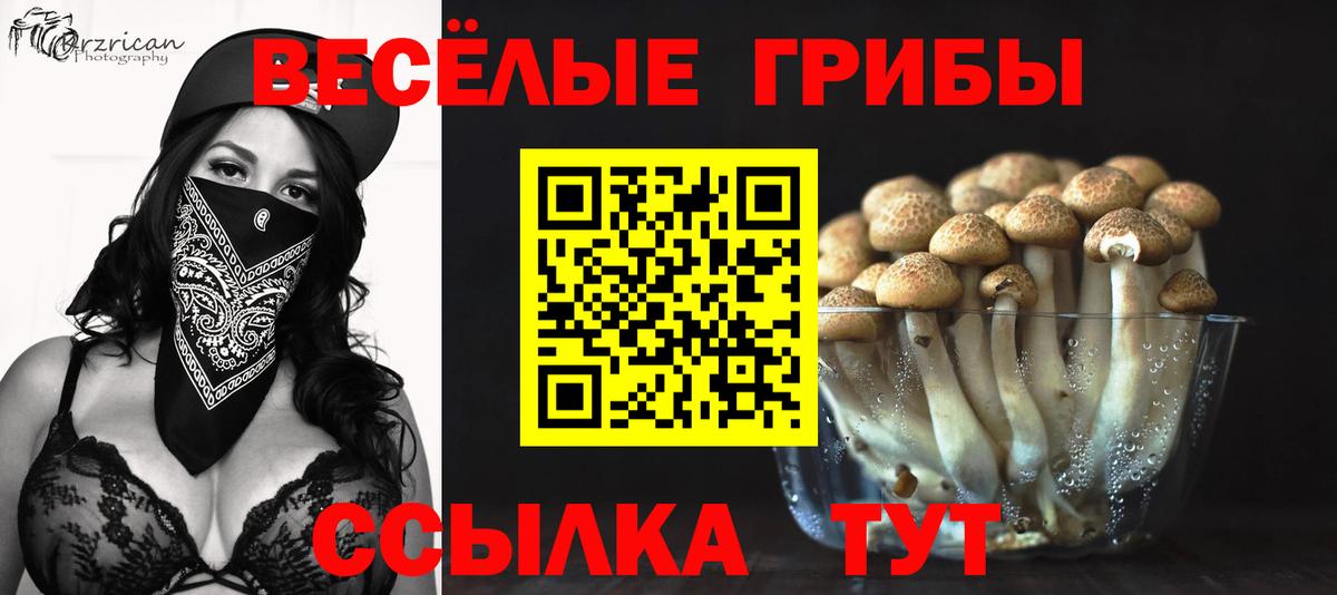 Псилоцибиновые грибы мухоморы  закладка  Нефтекамск  Вход с VPN 
